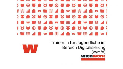 Trainer:in für Jugendliche im Bereich Digitalisierung (w/m/d), 35 WStd. © Wienwork