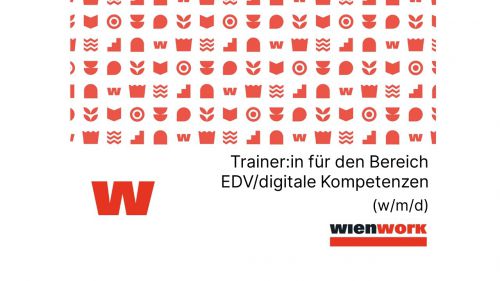 Trainer:in für den Bereich EDV/digitale Kompetenzen (w/m/d), ab 25 WSt. © Wienwork
