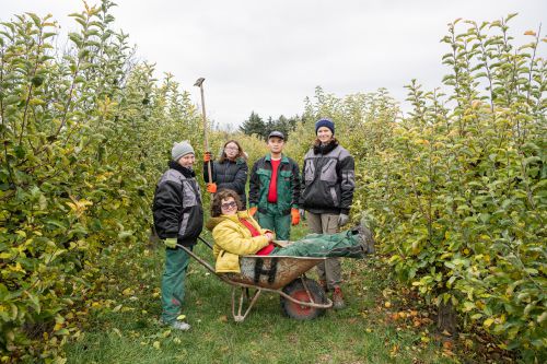 Gruppe Arbeitstraining Gärtnerei © wienwork/Luiza Puiu Gruppe Arbeitstraining Gärtnerei © wienwork/Luiza Puiu