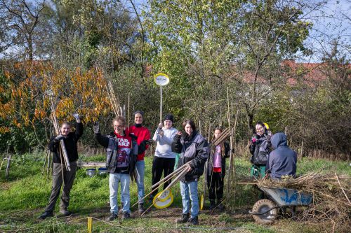 Gruppe Arbeitstraining Landwirtschaft/Kleine Stadtfarm © wienwork/Luiza Puiu Gruppe Arbeitstraining Landwirtschaft/Kleine Stadtfarm © wienwork/Luiza Puiu